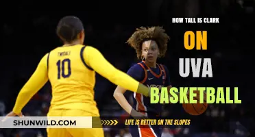 Clark's Height Advantage for UVA Basketball