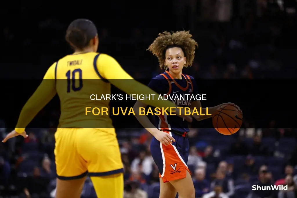 how tall is clark on uva basketball