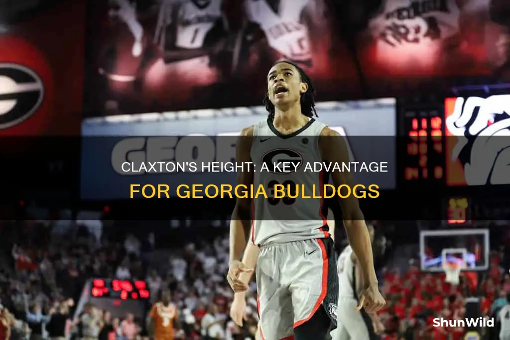 how tall is claxton for georgia bulldog basketball