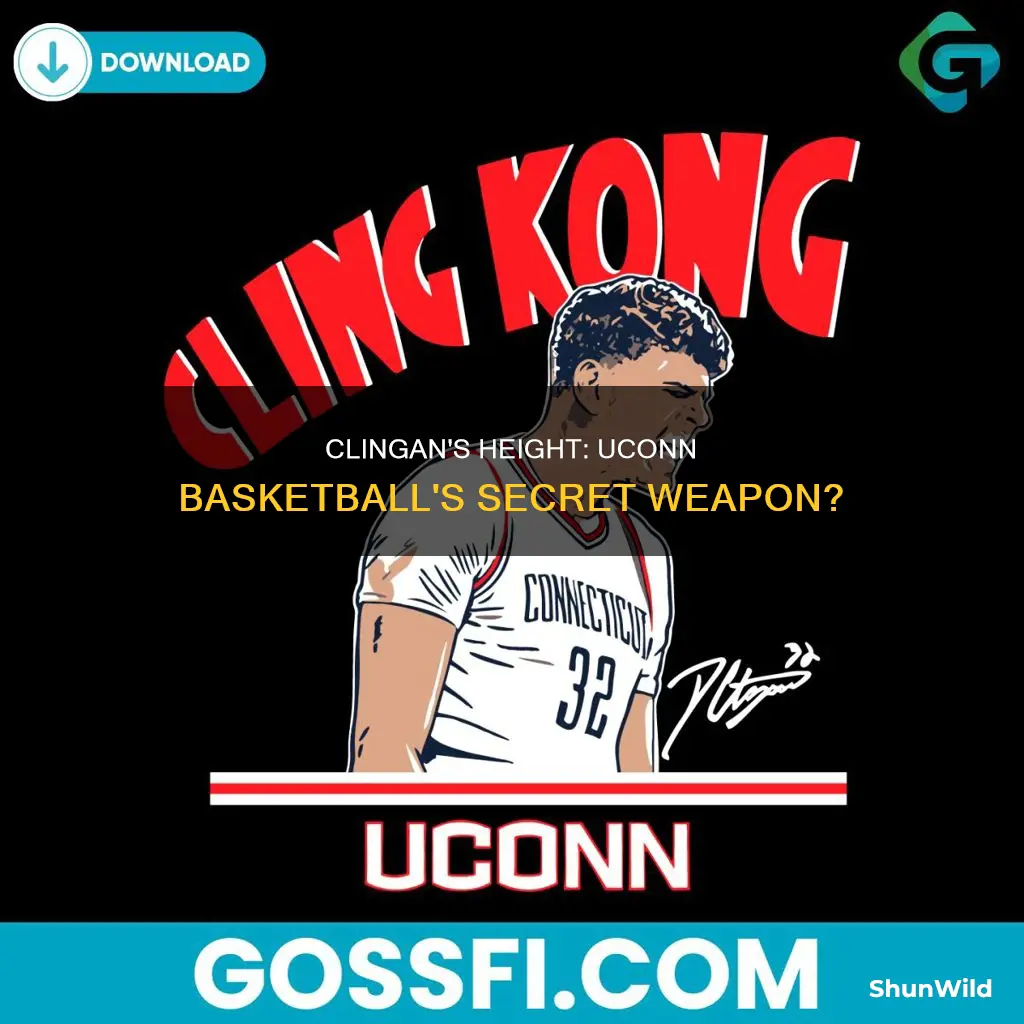 how tall is clingan on uconn basketball