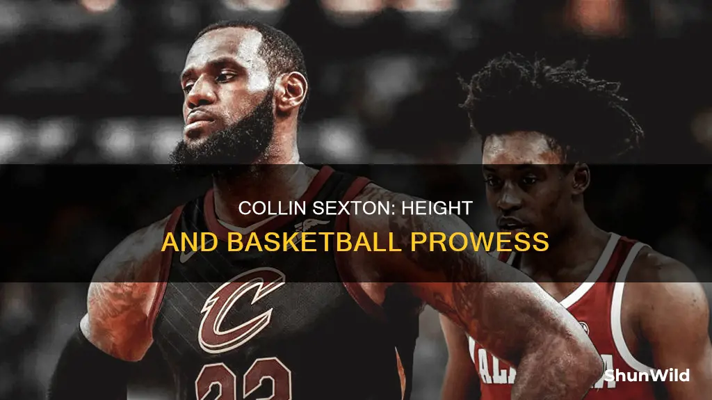 how tall is collin sexton basketball