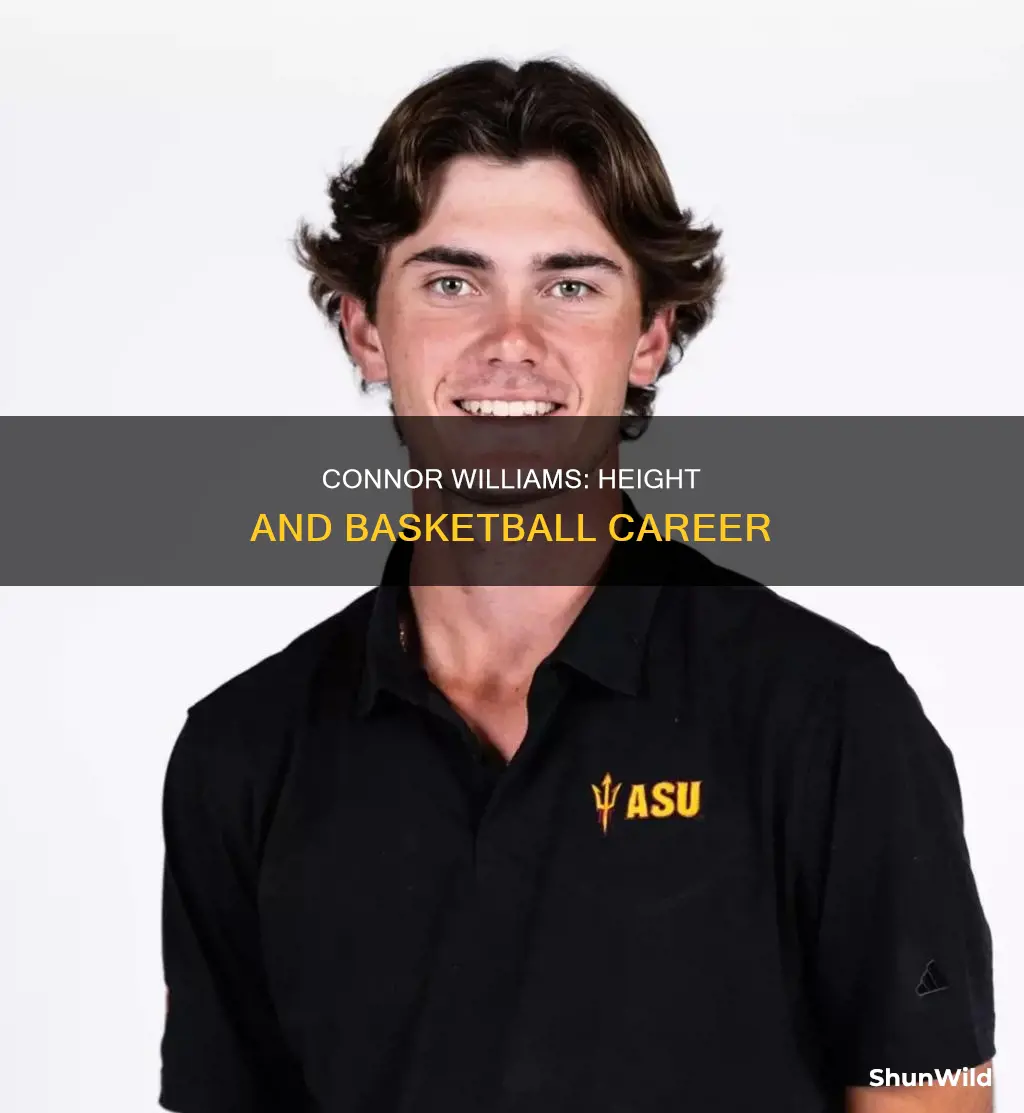 how tall is connor williams basketball