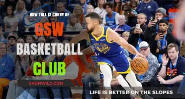 Curry's Height: A Giant in the Basketball World
