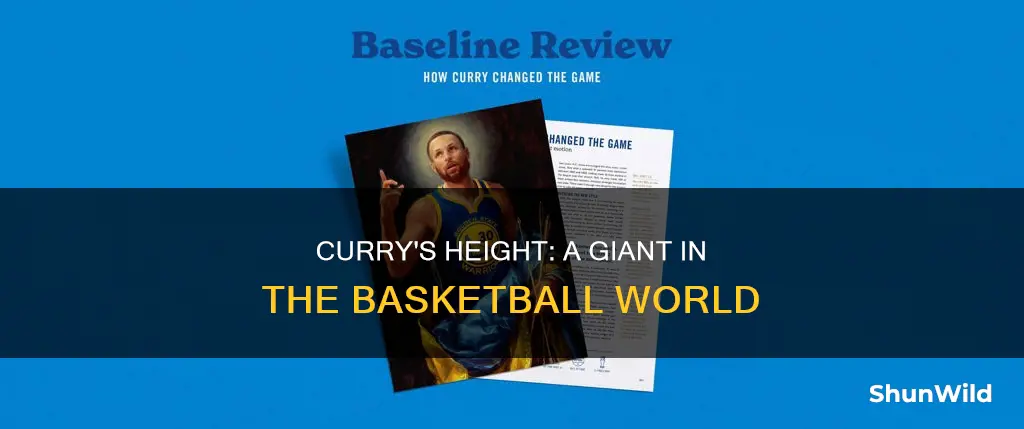 how tall is curry of gsw basketball club