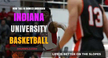 Damezi Anderson's Height: IU Basketball Star Soars