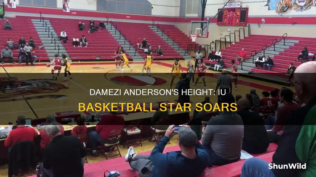 how tall is damezi anderson indiana university basketball