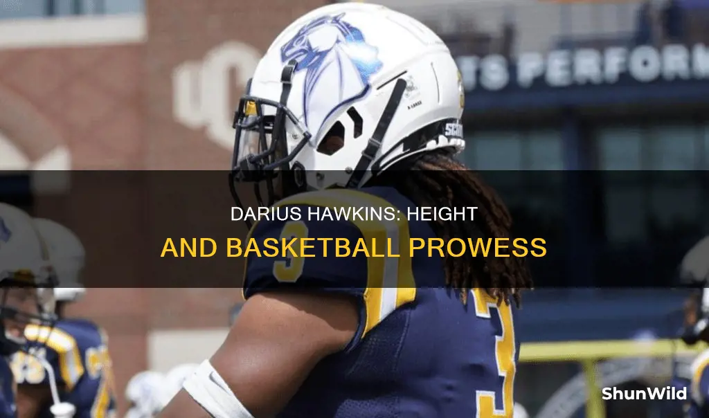 how tall is darius hawkins basketball