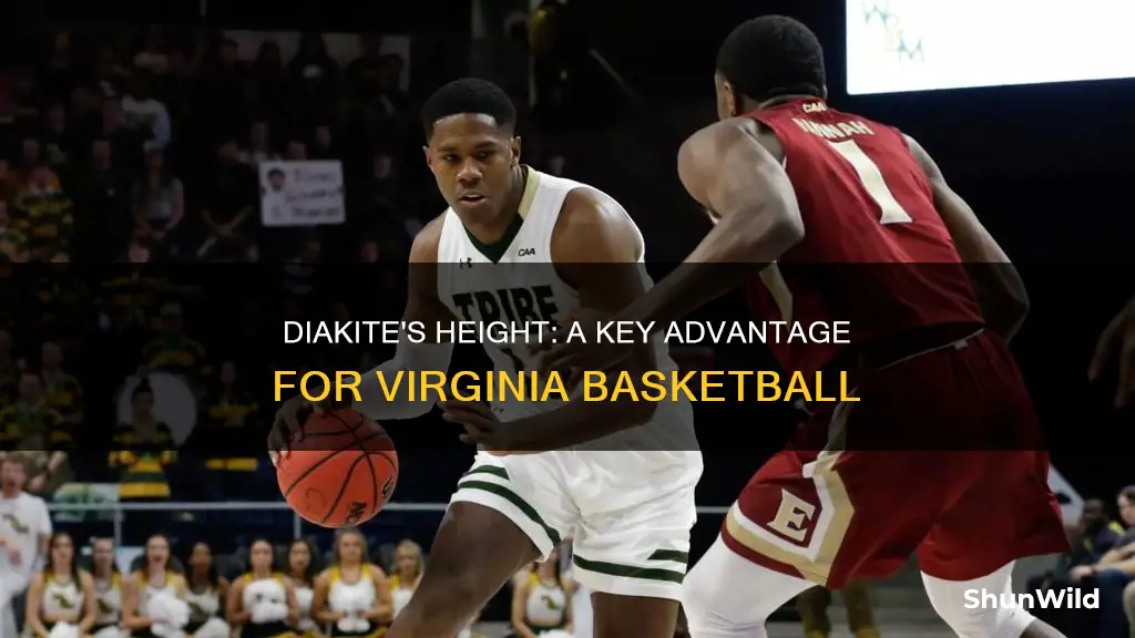 how tall is diakite virginia basketball
