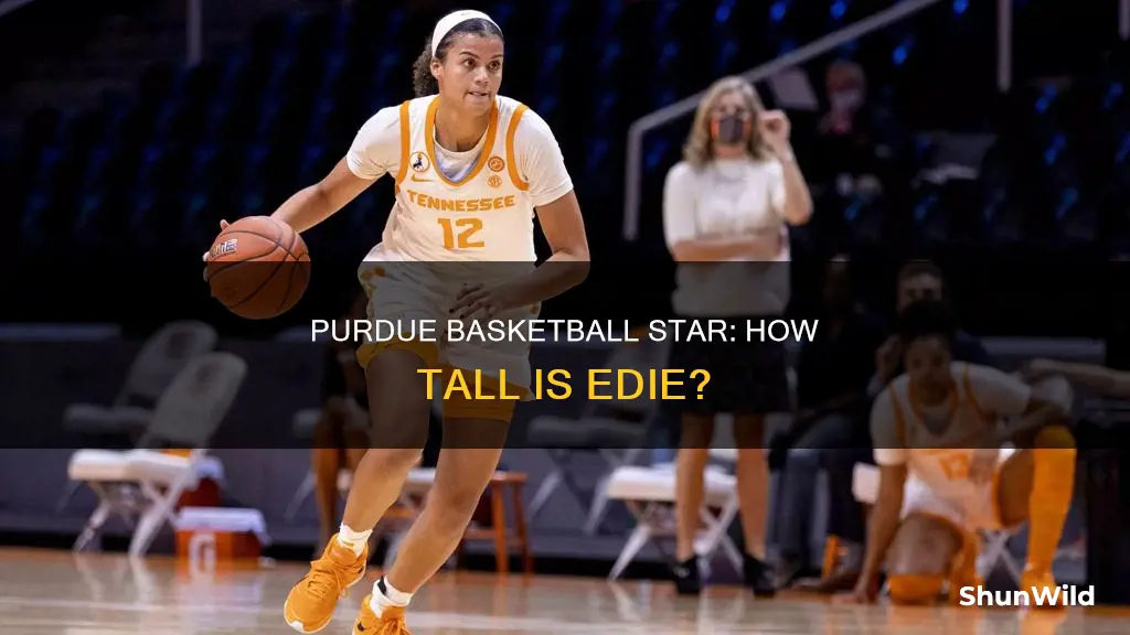 how tall is edie for purdue basketball