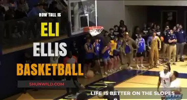 Eli Ellis: Basketball Star's Height and Rise