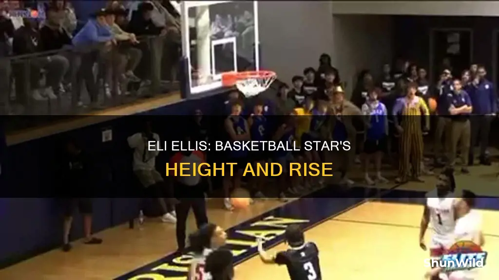 how tall is eli ellis basketball