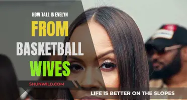 Evelyn's Height: Basketball Wives' Star's Tall Order