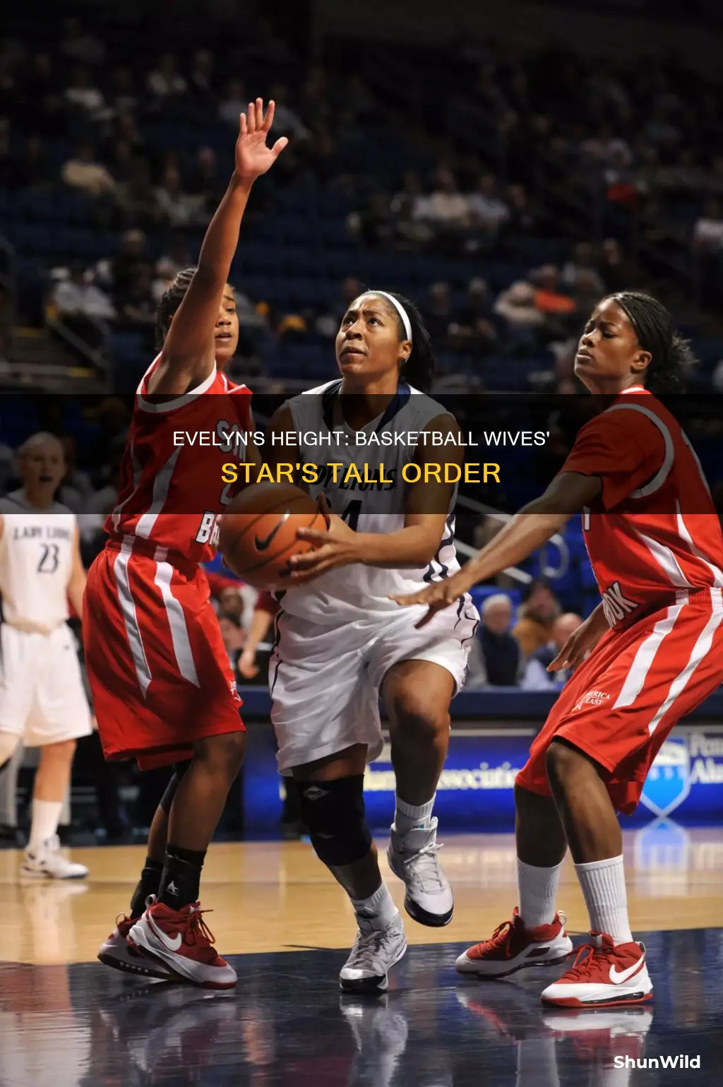 how tall is evelyn from basketball wives