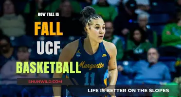 UCF Basketball: Height of Fall