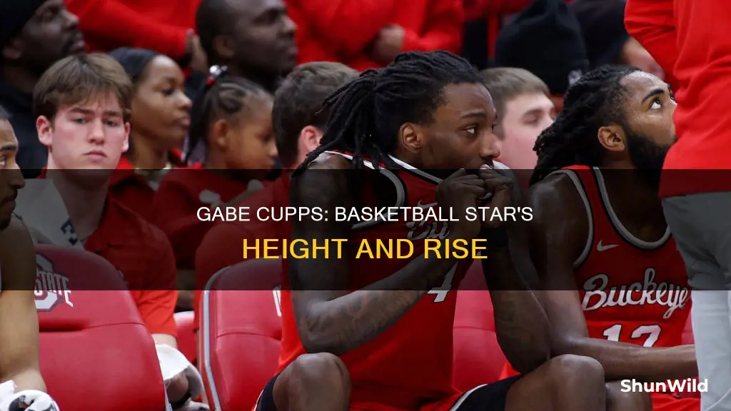 how tall is gabe cupps basketball