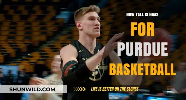 Haas's Height: Purdue's Basketball Star's Rise