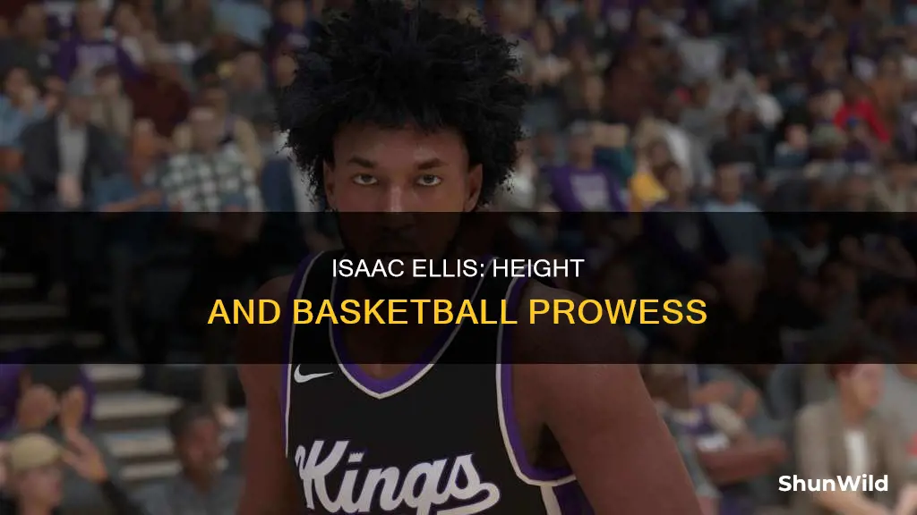 how tall is isaac ellis basketball