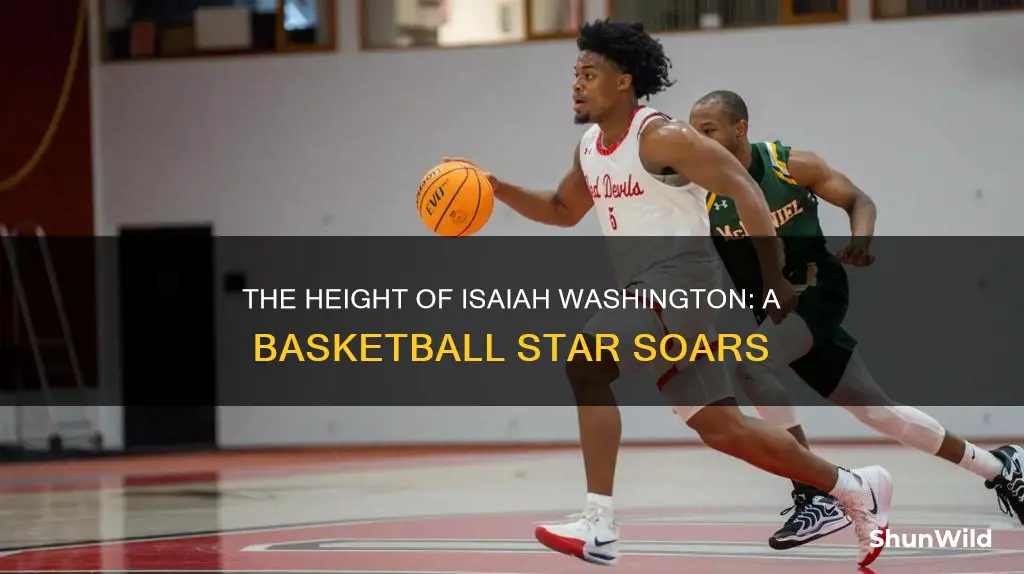 how tall is isaiah washington basketball