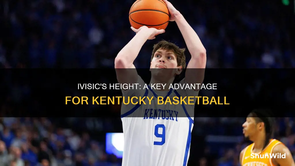 how tall is ivisic kentucky basketball