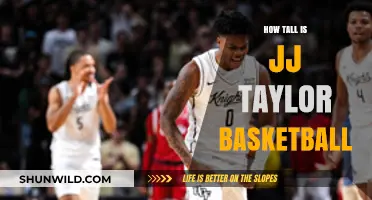 Who is JJ Taylor? Unveiling the Basketball Star's Height
