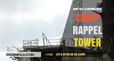 Marine Boot Camp Rappel Tower Height: Unveiling the Vertical Challenge
