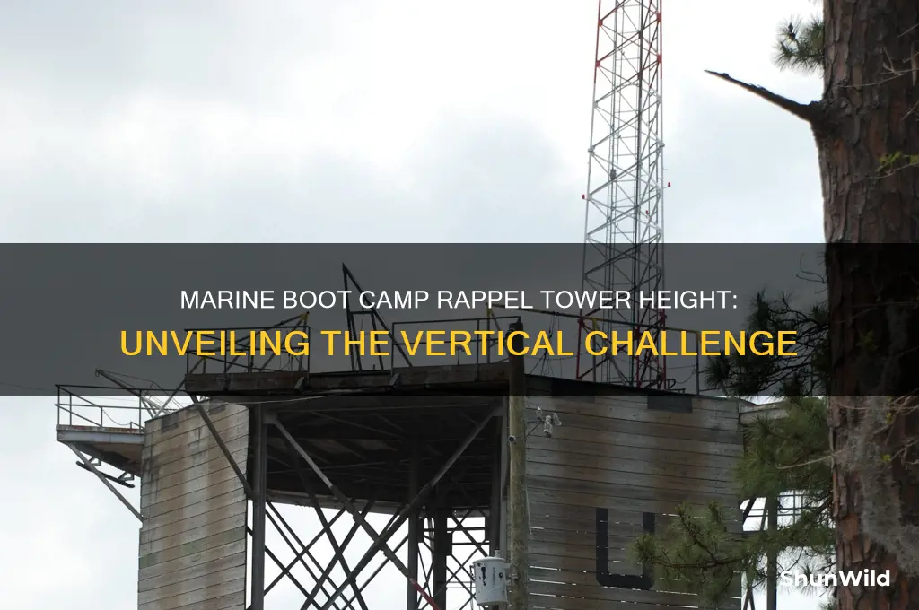 how tall is marine boot camp rappel tower
