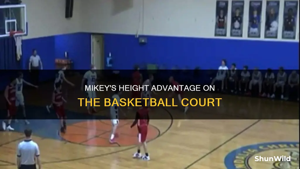 how tall is mikey basketball