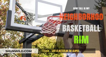 My Neighborhood Basketball Rim: How Tall?