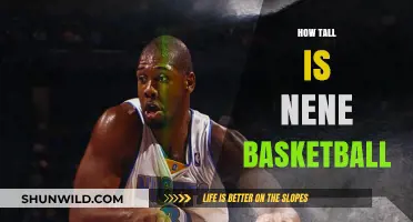 Nene's Height: A Basketball Advantage?