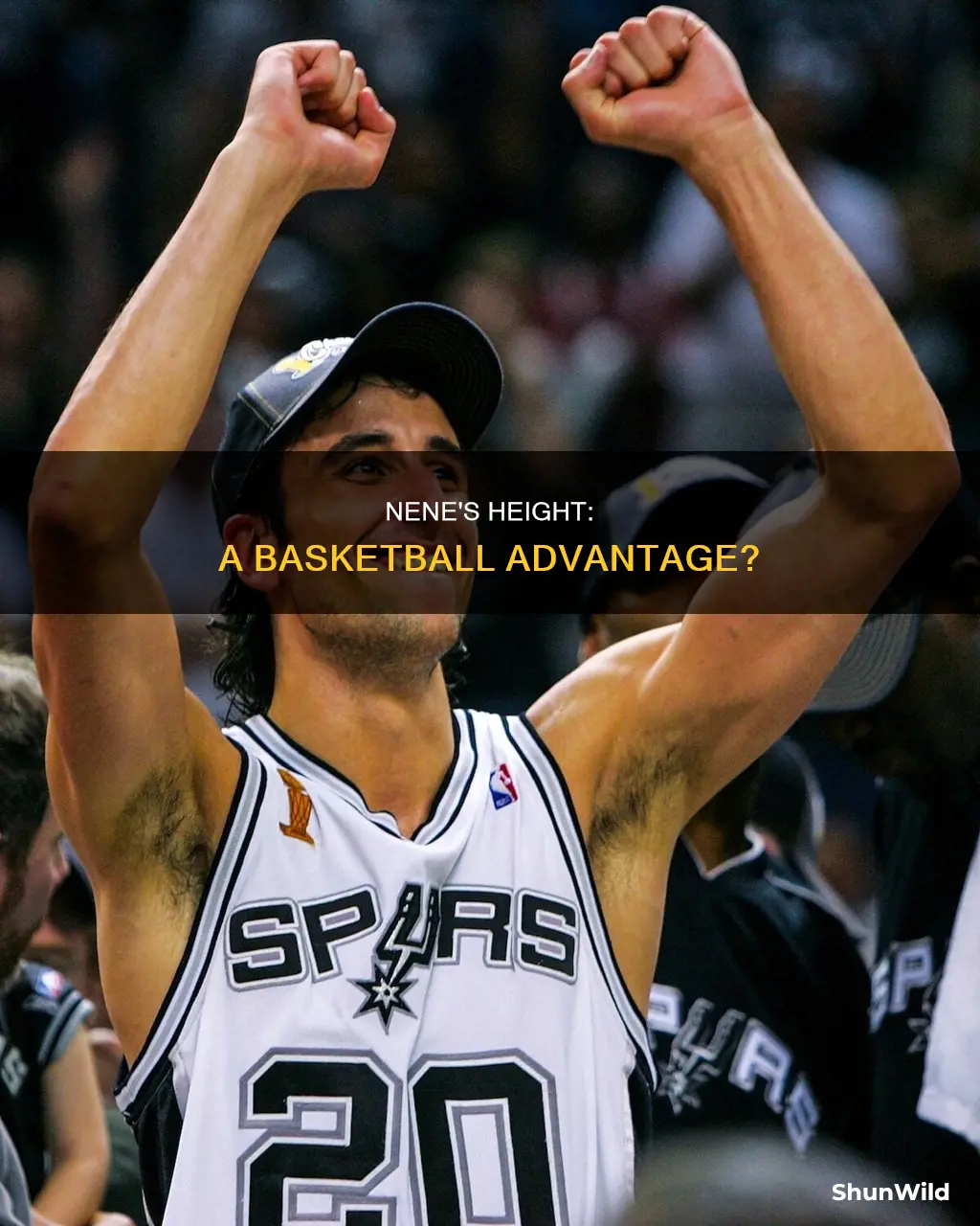 how tall is nene basketball