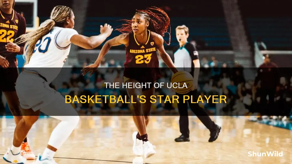 how tall is number 10 on ucla basketball