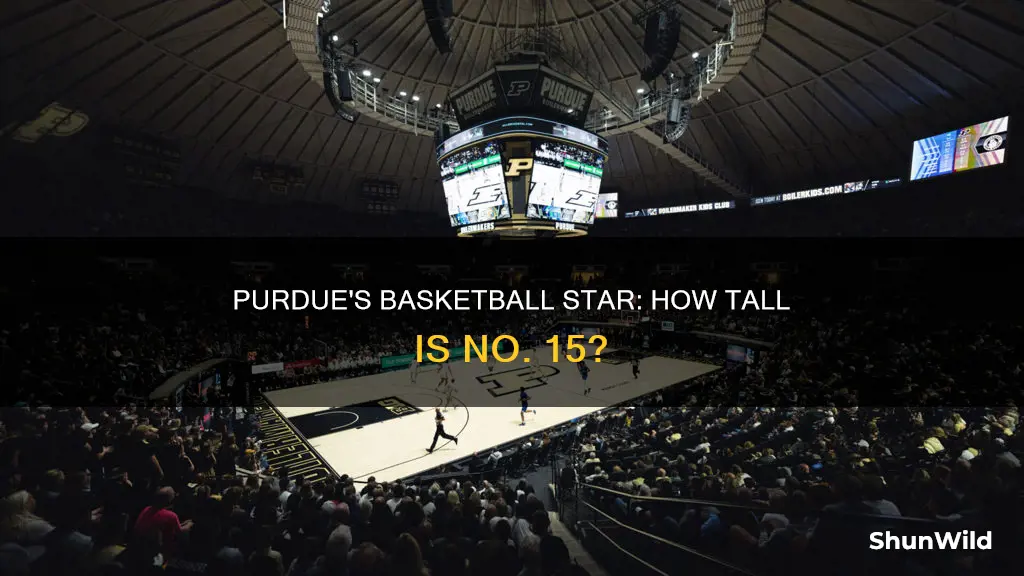 how tall is number 15 for purdue basketball