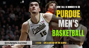 The Height of Purdue's Basketball Star: Number 15's Stats