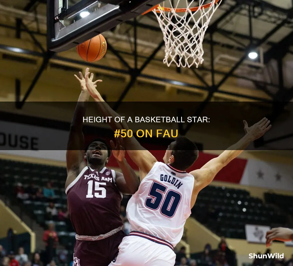 how tall is number 50 on fau basketball