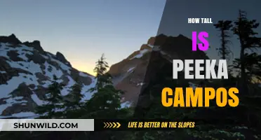 Discovering Peeka Campos' Height: Facts and Figures Revealed