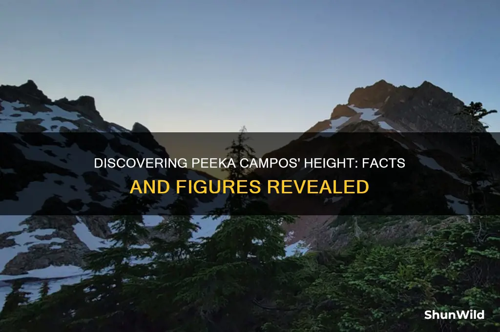 how tall is peeka campos