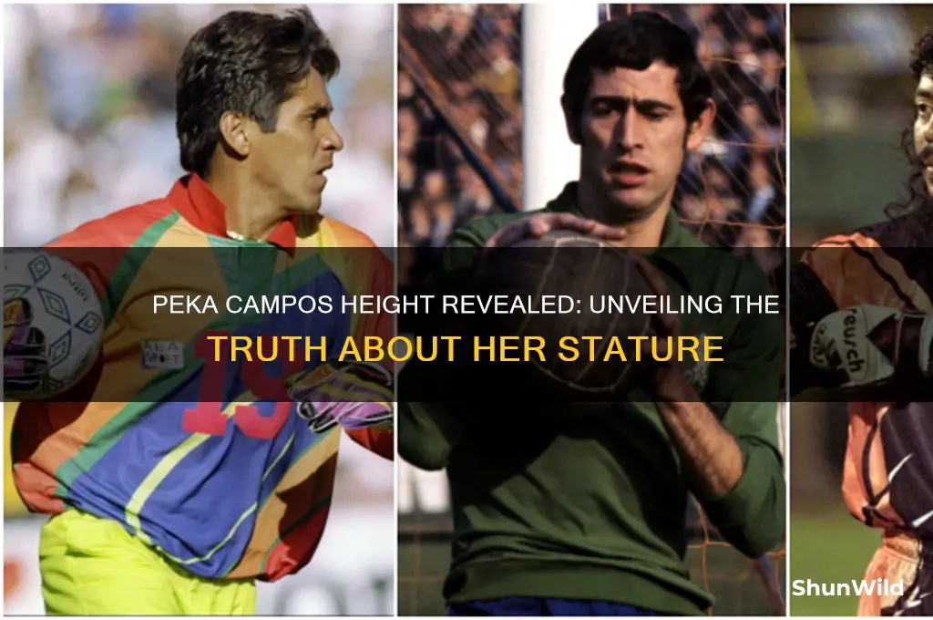 how tall is peka campos