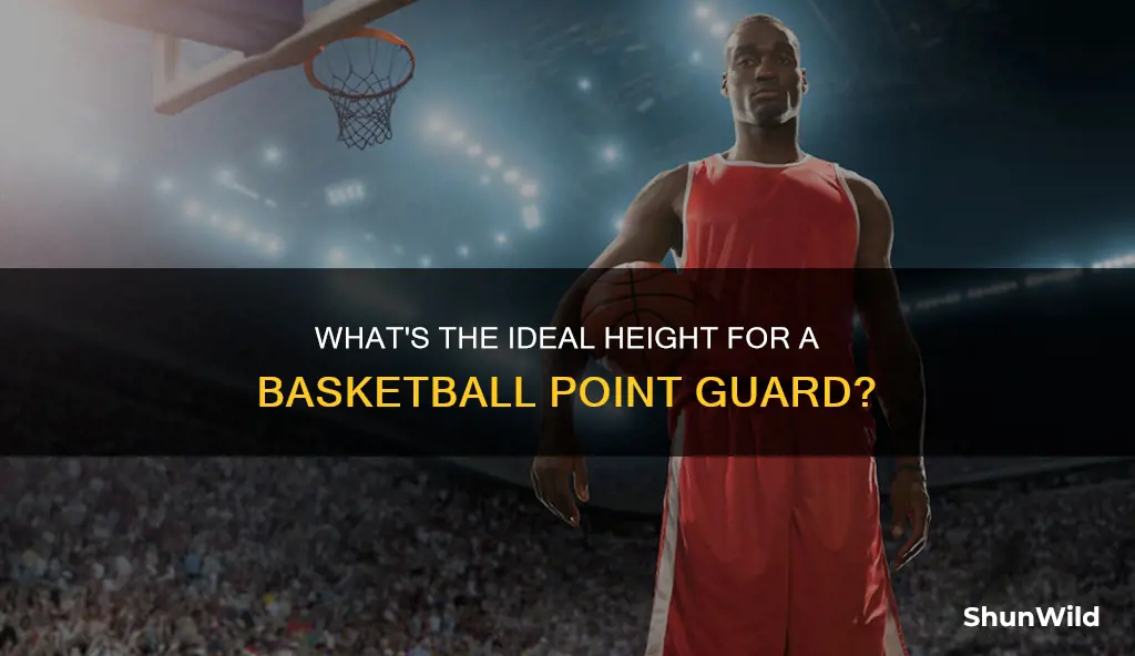 how tall is point guard basketball