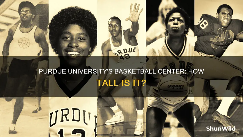 how tall is purdue university
