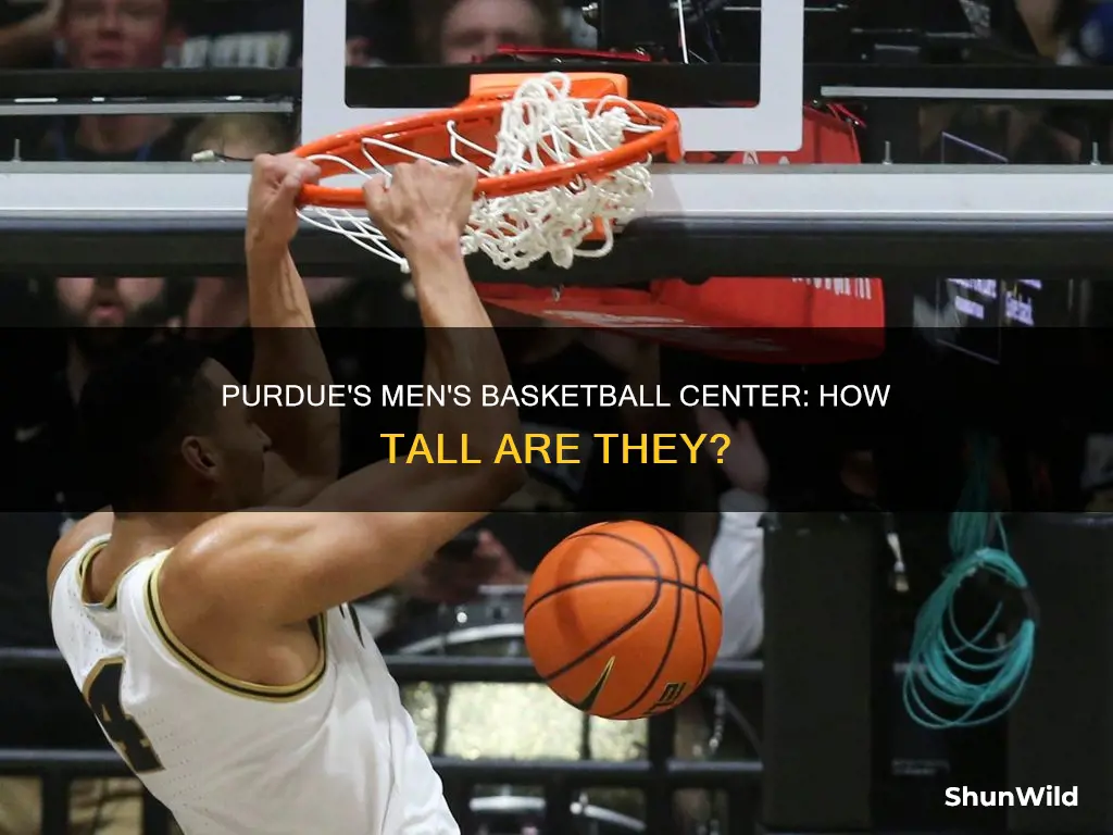 how tall is purdue