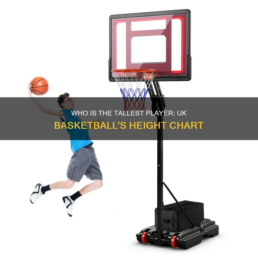 how tall is quicky for uk basketball