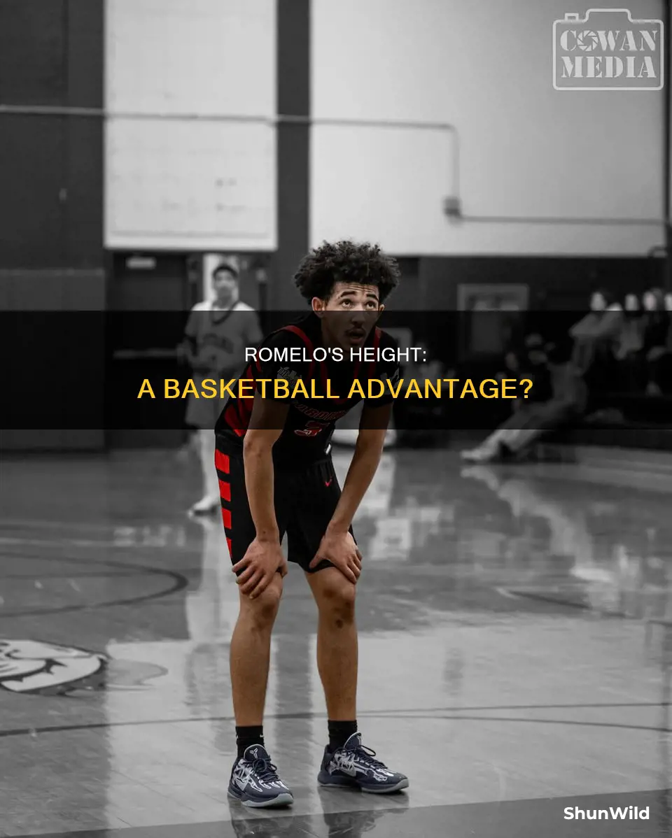 how tall is romelo basketball