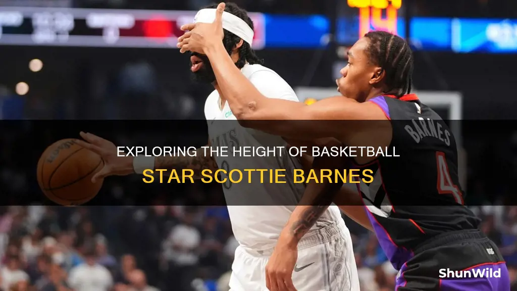 how tall is scottie barnes basketball