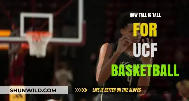UCF Basketball: How Tall Is Tall Enough?