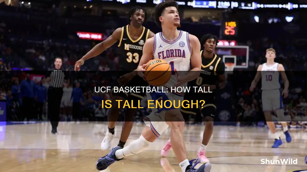 how tall is tall for ucf basketball