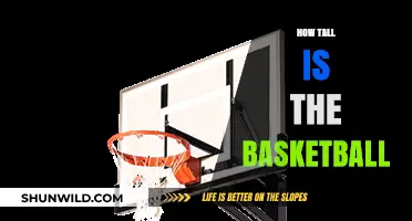 The Height of Basketball Success: Rim Reaches