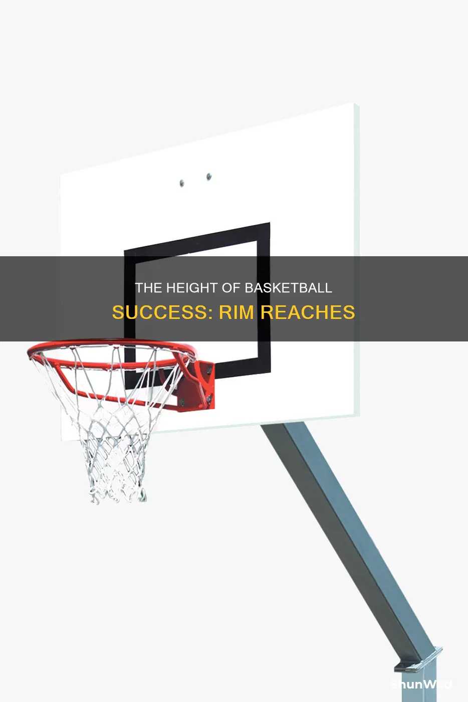 how tall is the basketball