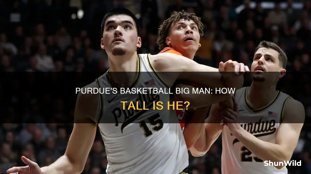 how tall is the big guy on purdue basketball