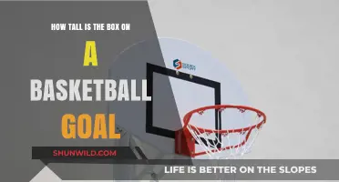 The Height of Basketball Goals: Box Dimensions Explored