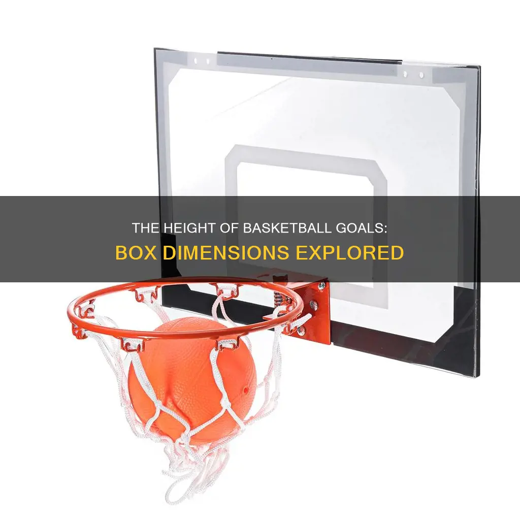 how tall is the box on a basketball goal